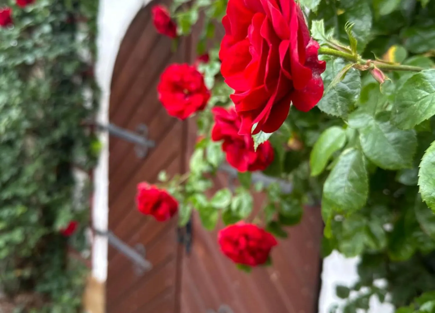 Cosy Historic Brewery With Beautiful Outdoor Space Rattelsdorf Villa